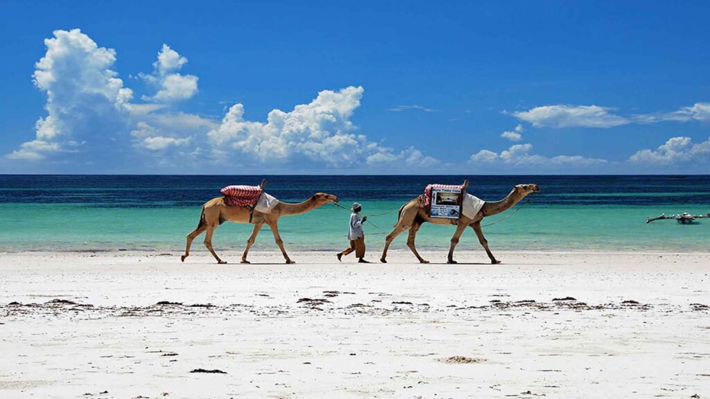 Pristine white sand beach in Diani